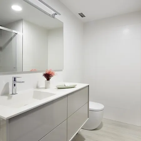 Apartment Miraconcha Terrace By Feelfree *